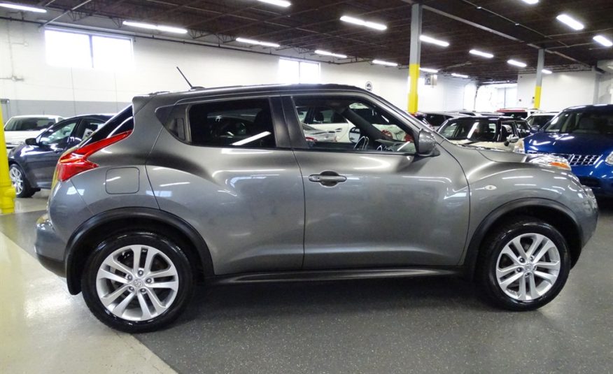 2011 Nissan JUKE