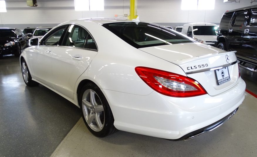 2013 Mercedes-Benz CLS